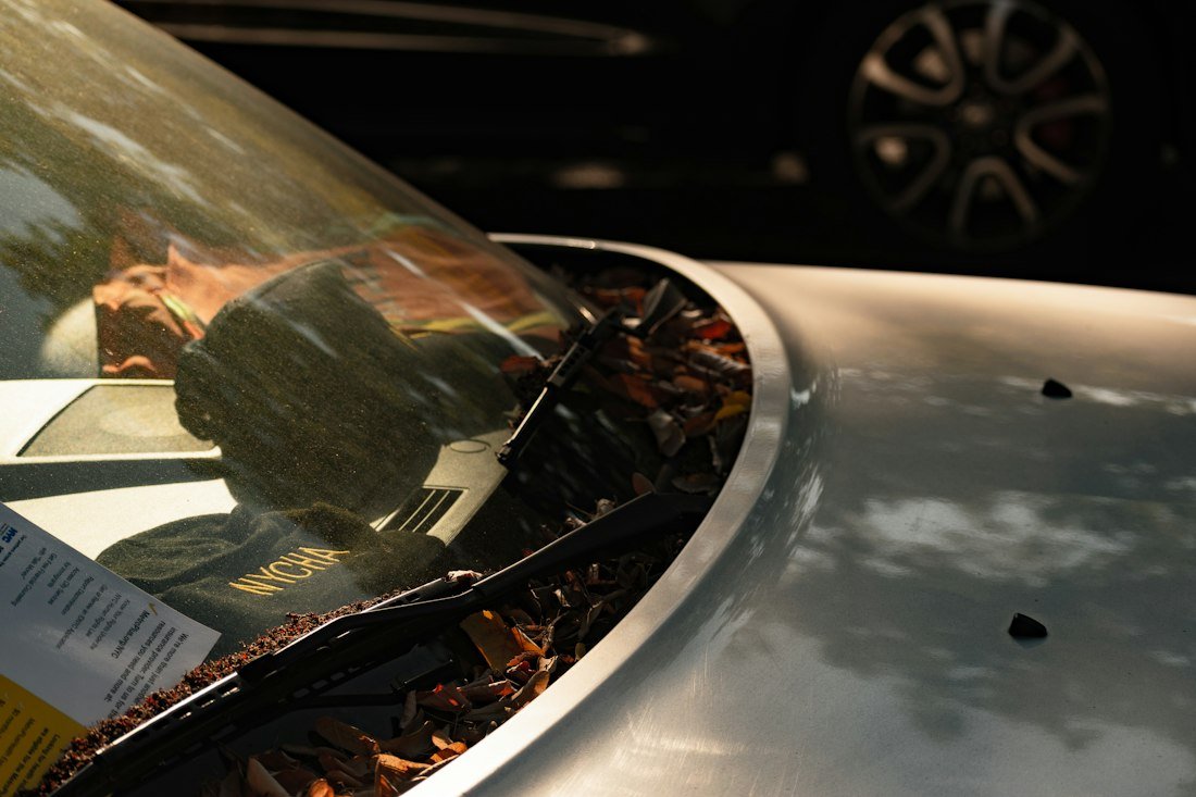 Close up of a polished car body panel